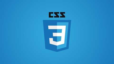 CSS Unit